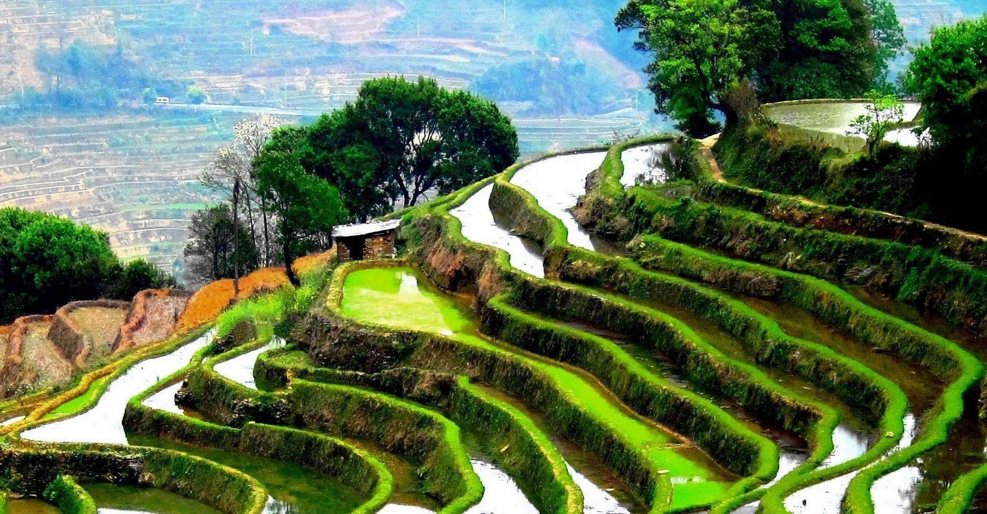 Yunnan, China